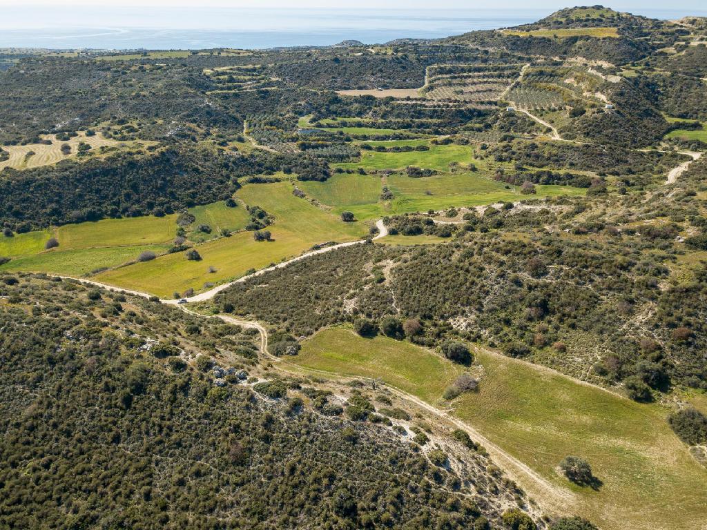 Field (Share) - Agios Theodoros, Larnaca
