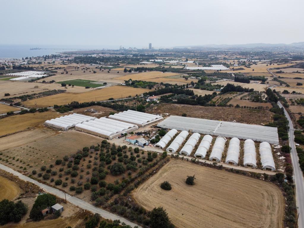 Field - Psematismenos, Larnaca