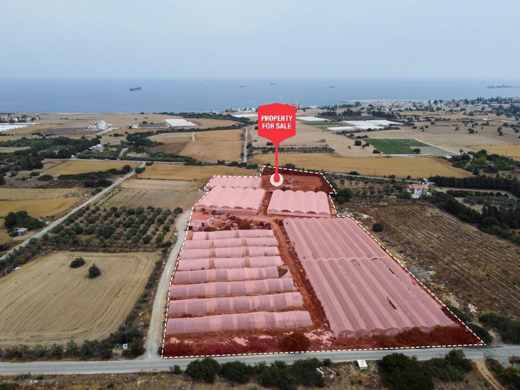 Field - Psematismenos, Larnaca