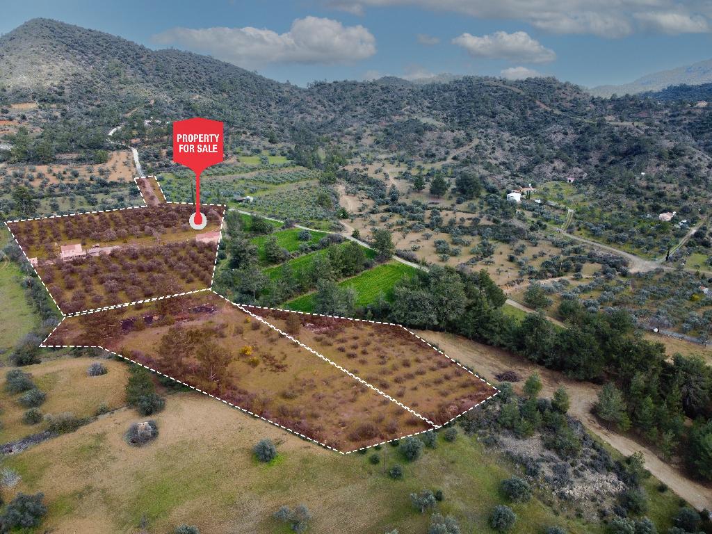 Field - Lythrodontas, Nicosia