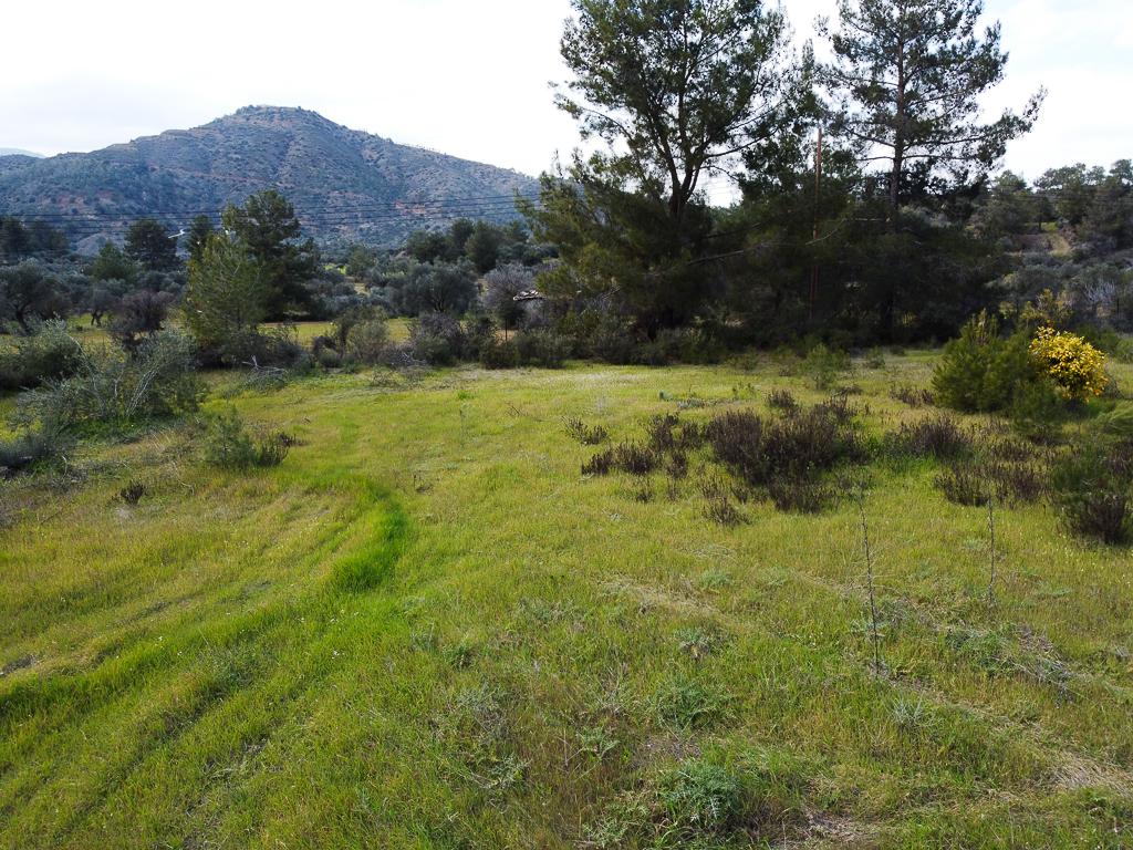 Field - Lythrodontas, Nicosia