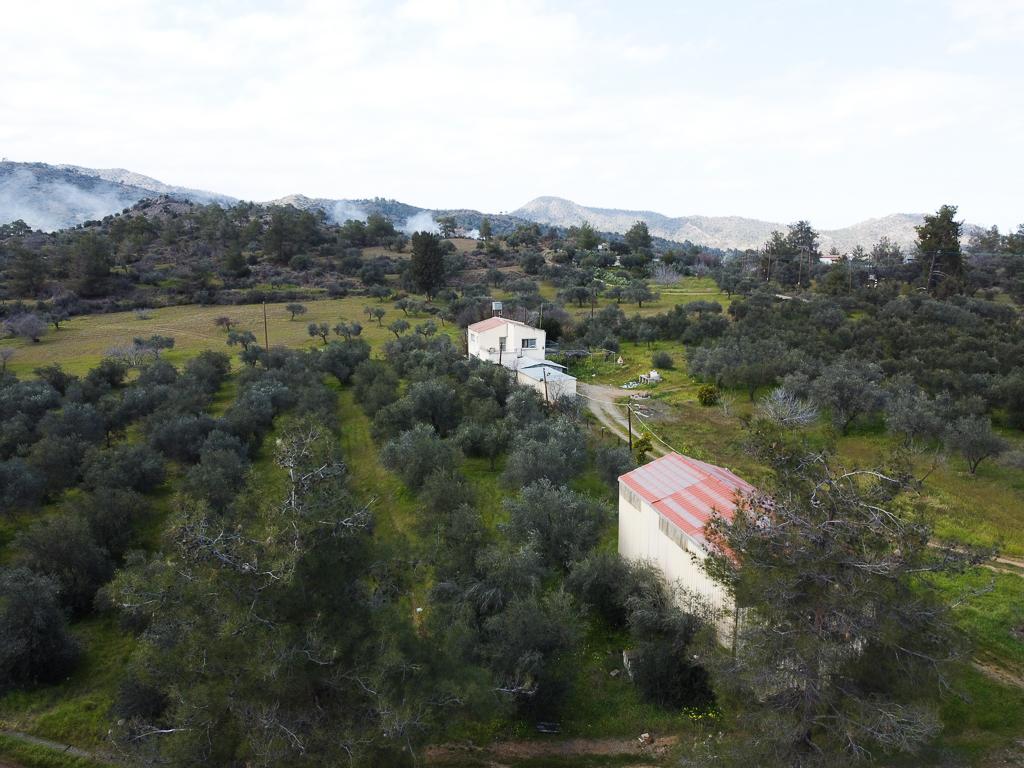 Field - Lythrodontas, Nicosia