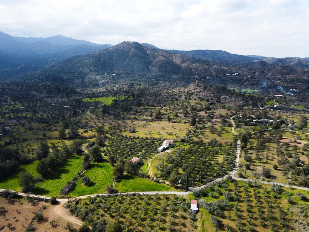 Field - Lythrodontas, Nicosia