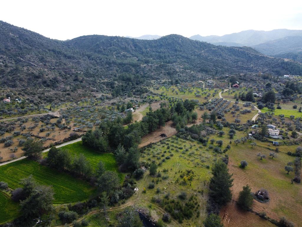 Field - Lythrodontas, Nicosia