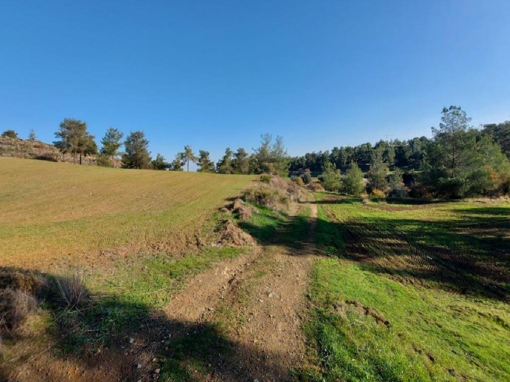 Field - Klirou, Nicosia