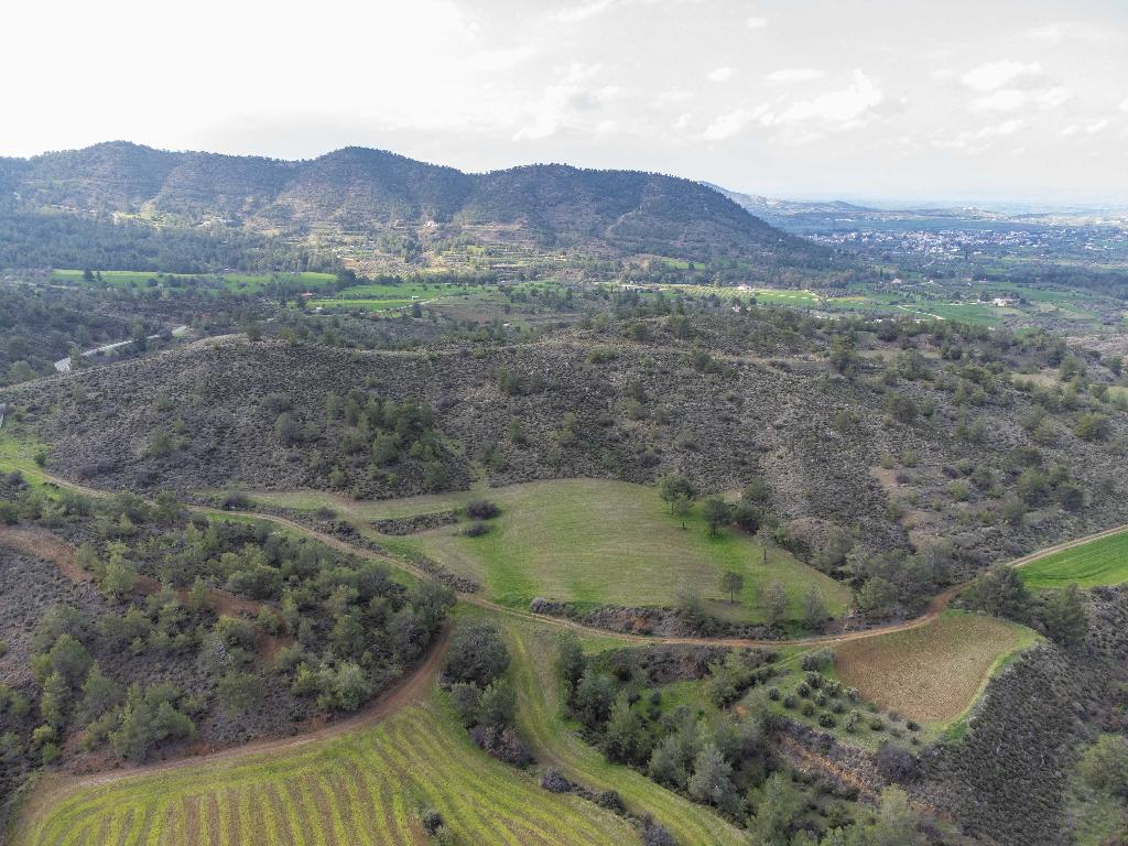 Field - Klirou, Nicosia