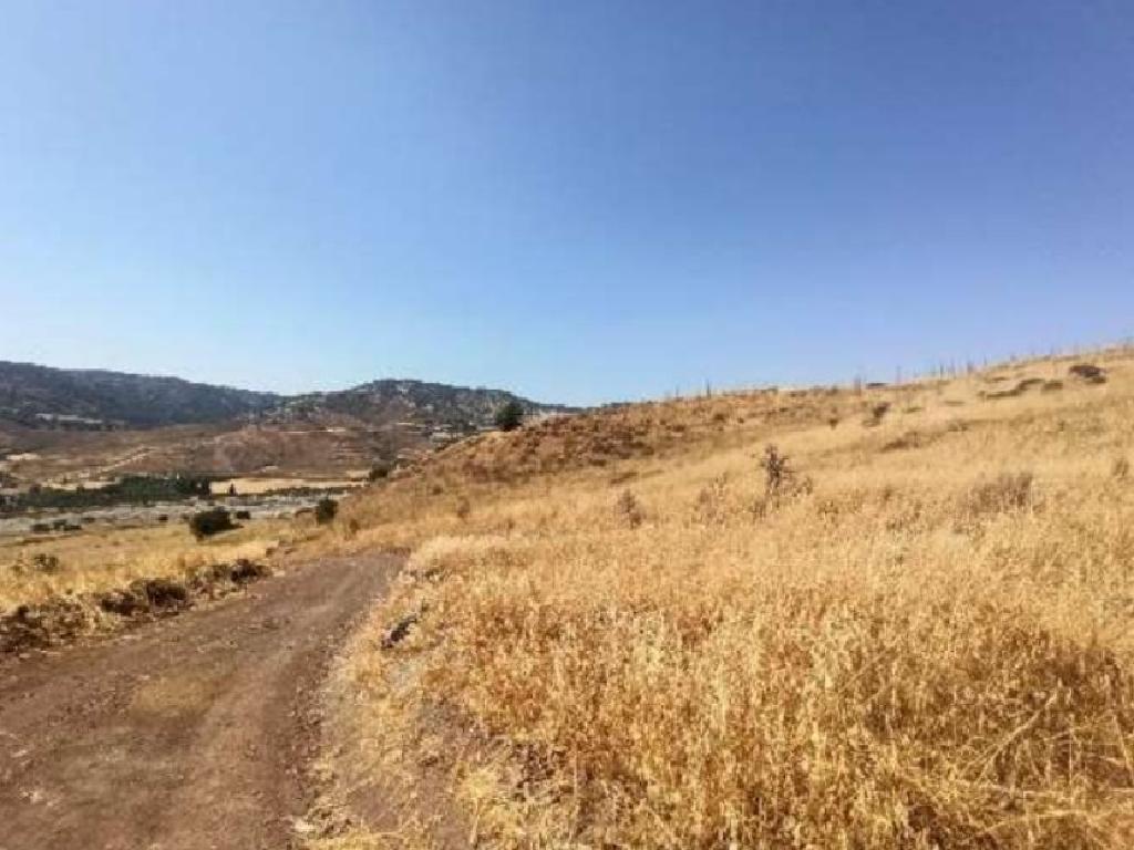 Field - Choletria, Paphos