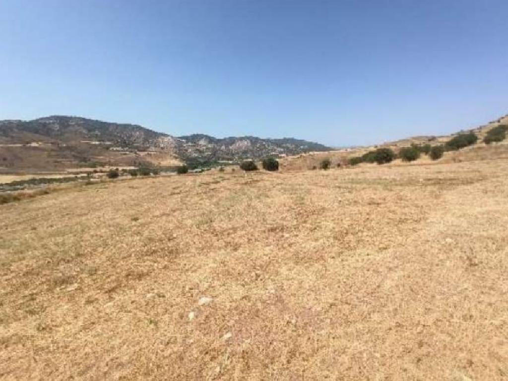 Field - Choletria, Paphos