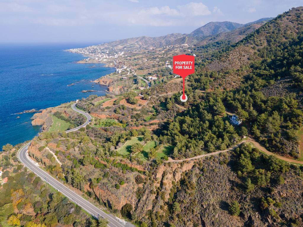 Fields (Share) - Pomos, Paphos-Pomos