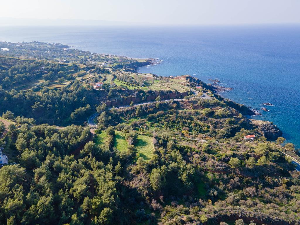 Fields (Share) - Pomos, Paphos-Pomos