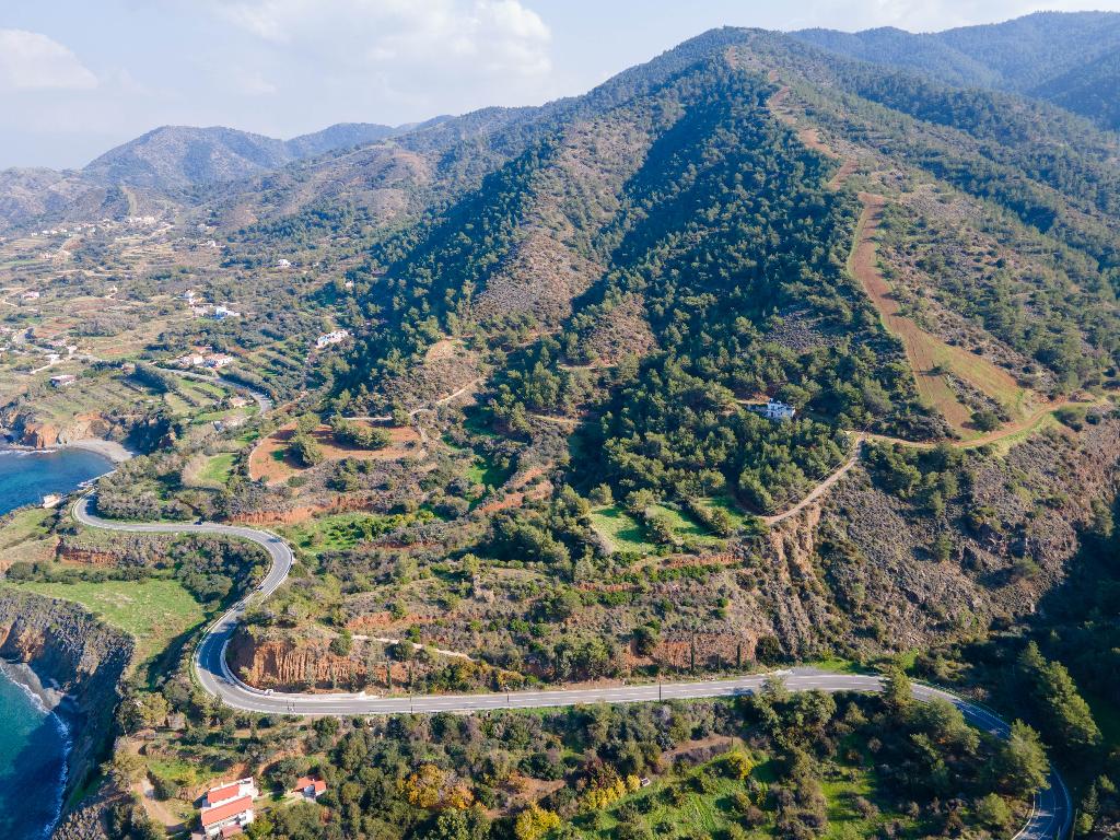 Fields (Share) - Pomos, Paphos-Pomos