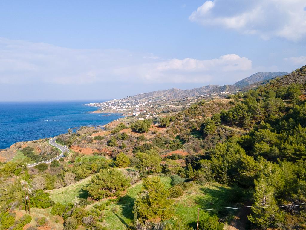 Fields (Share) - Pomos, Paphos-Pomos