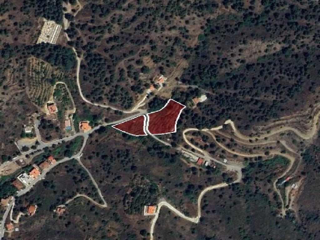 Field - Kakopetria, Larnaca