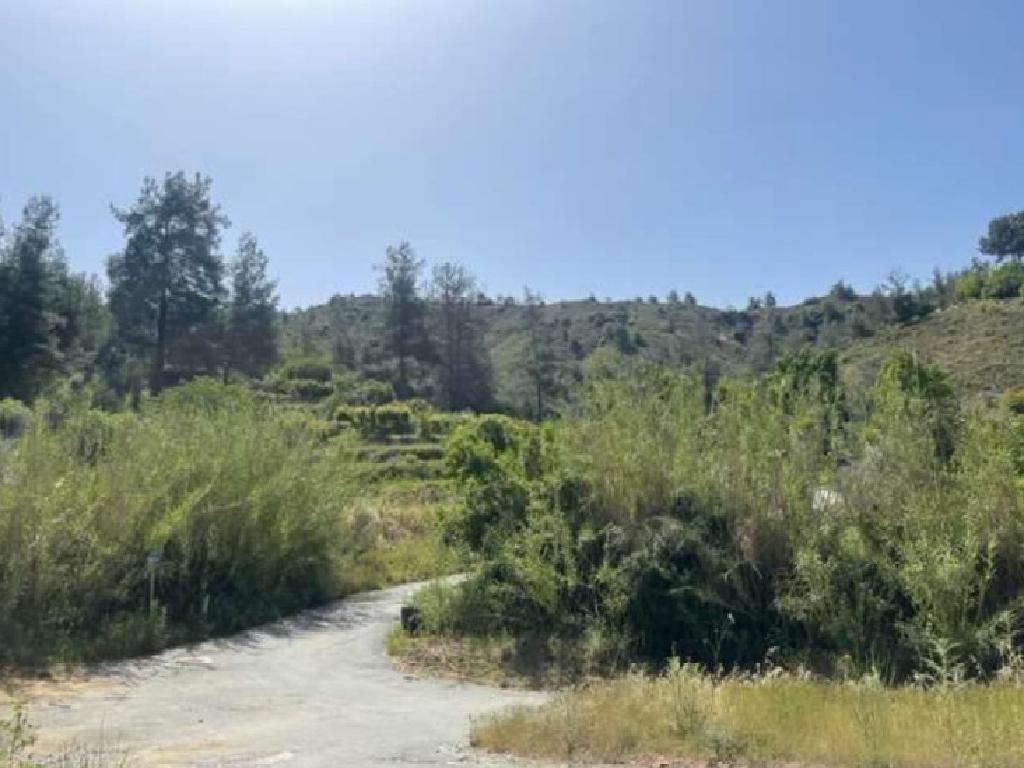 Field - Kakopetria, Larnaca