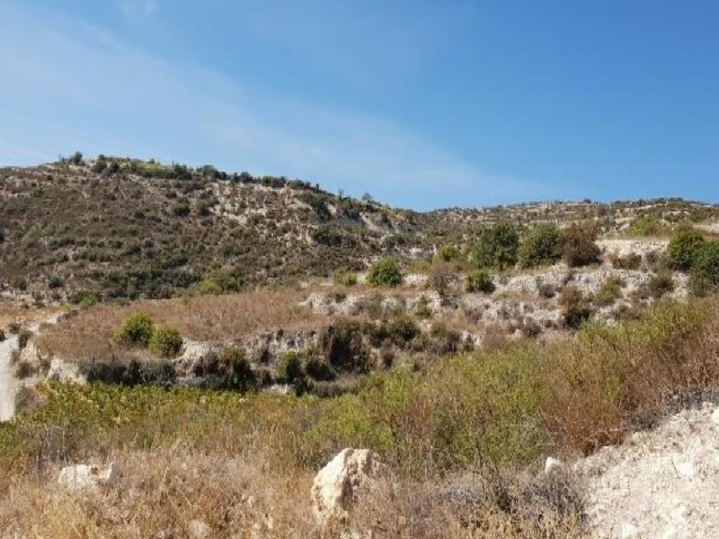 Field - Koilani, Limassol-Koilani