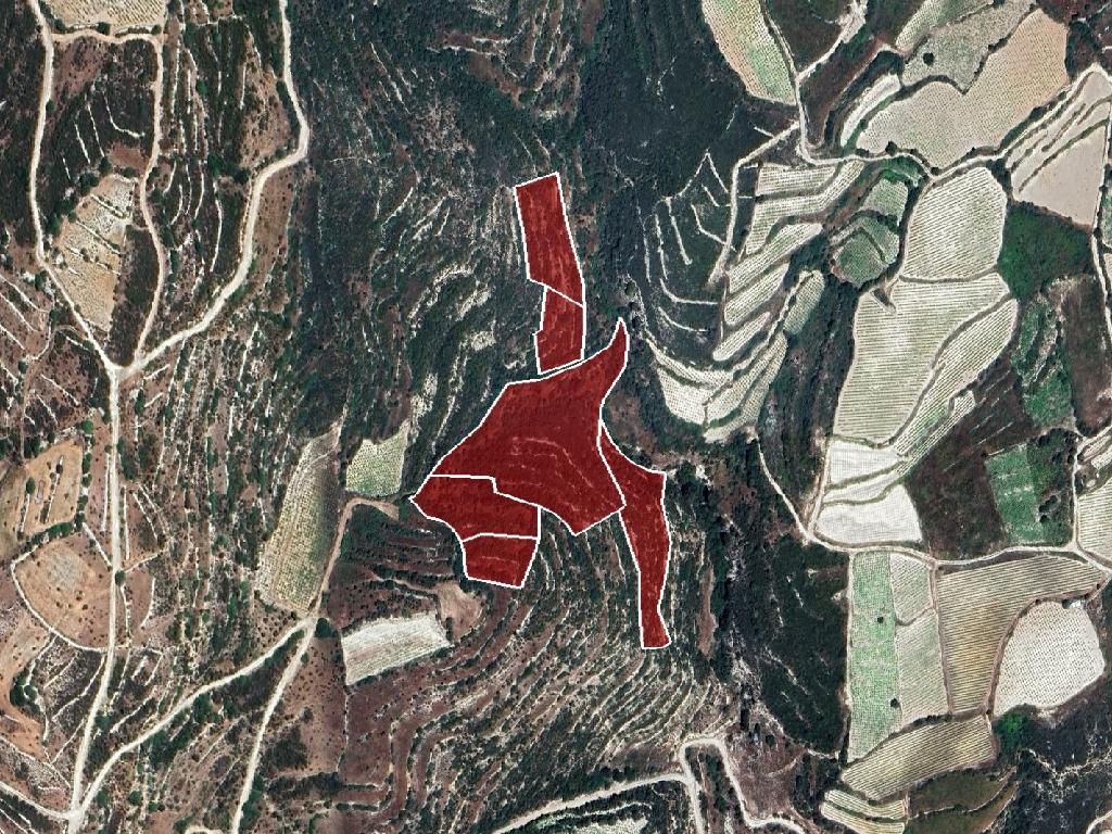 Field - Koilani, Limassol-Koilani
