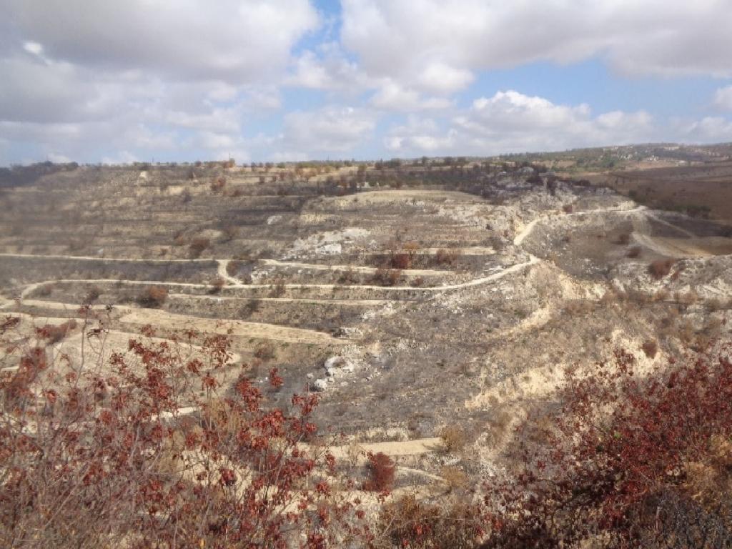 Field - Milia, Paphos-Milia