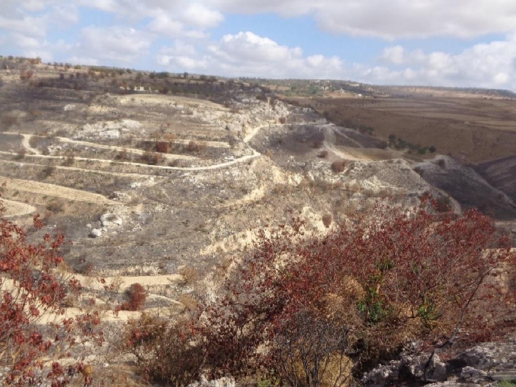 Field - Milia, Paphos-Milia