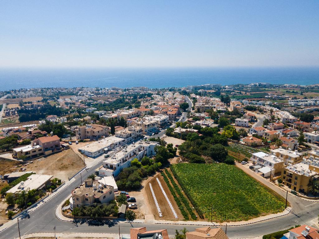 Field  (Share) - Chloraka, Paphos