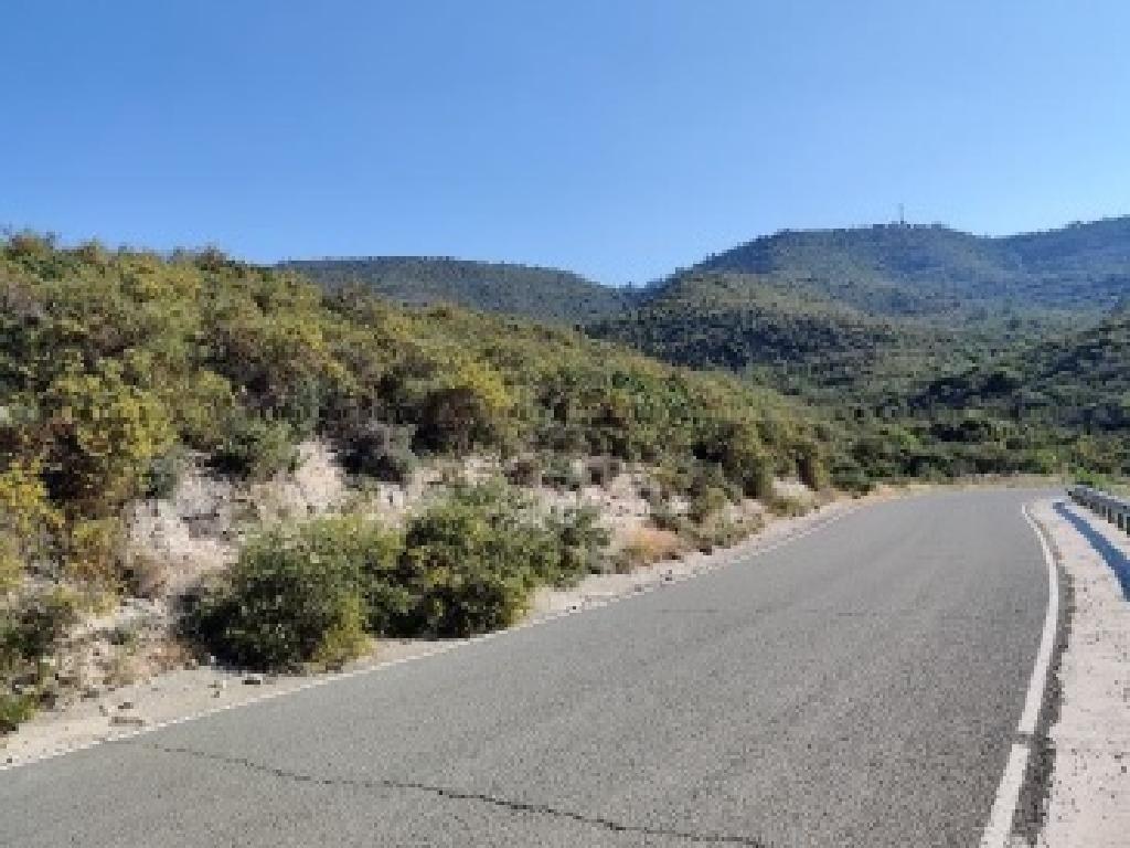 Field (Share) - Agios Therapon, Limassol