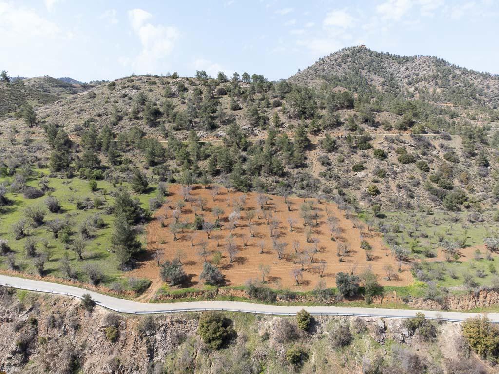 Field - Gourri, Nicosia