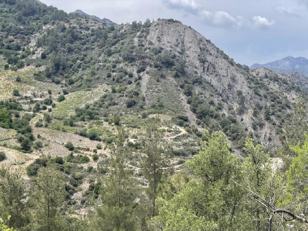 Field - Gourri, Nicosia-Gourri