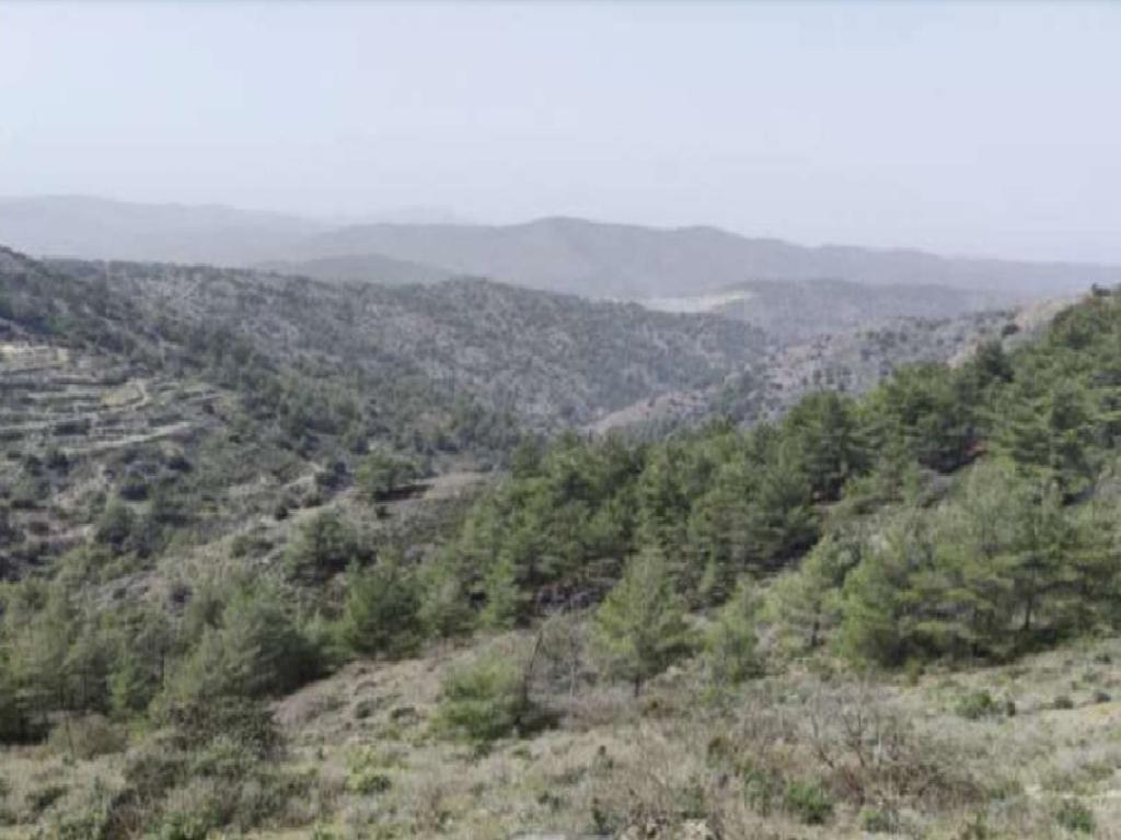 Field - Gourri, Nicosia-Gourri