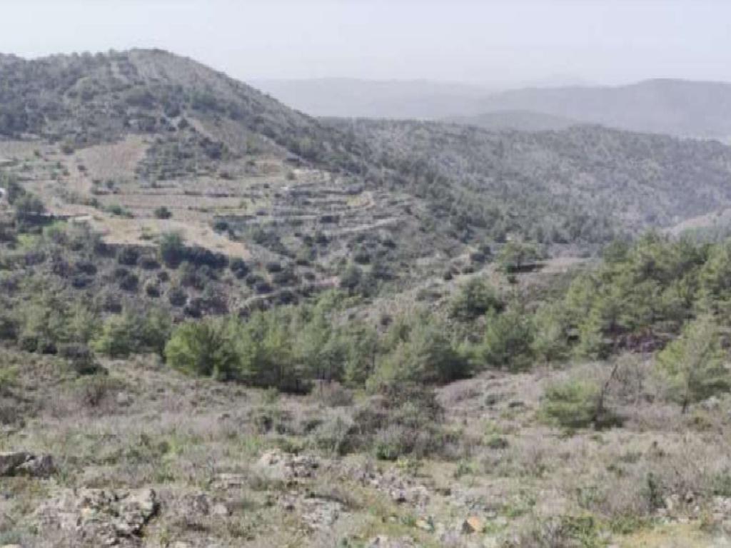 Field - Gourri, Nicosia-Gourri