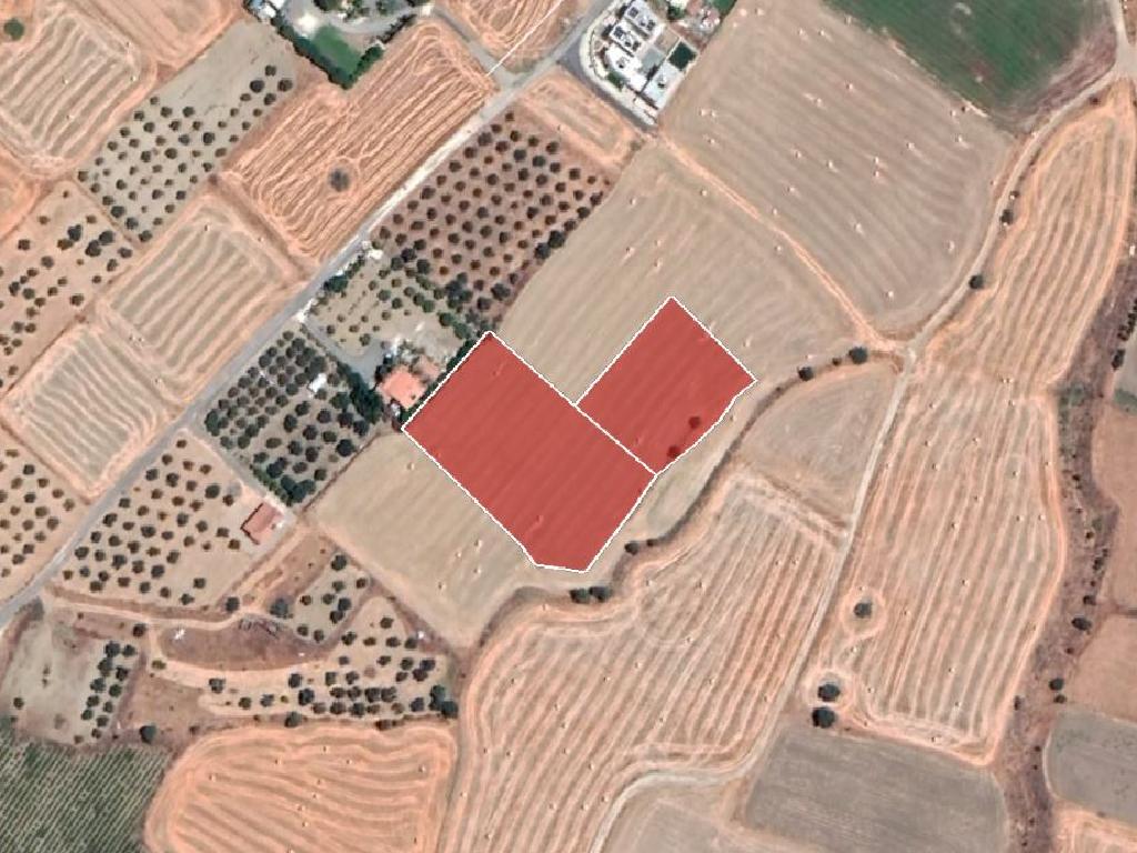 Fields - Ergates, Nicosia-Ergates