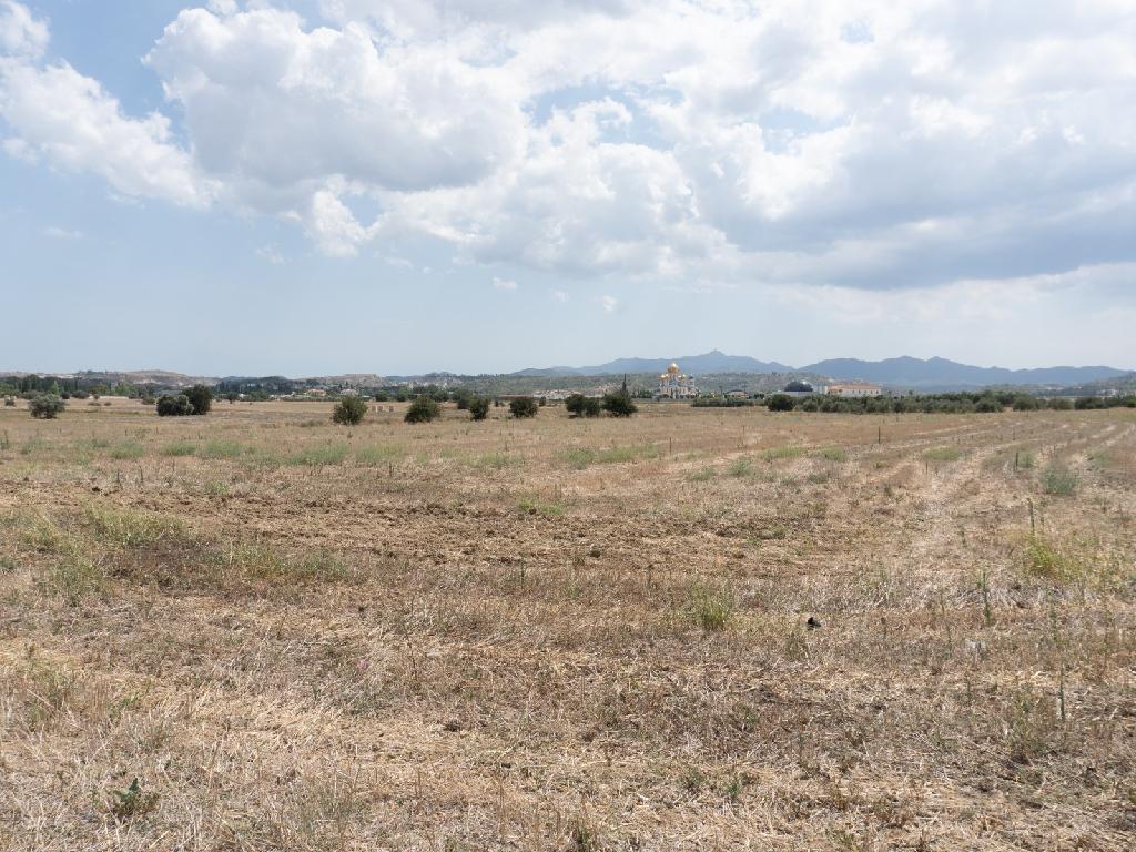 Fields - Ergates, Nicosia-Ergates