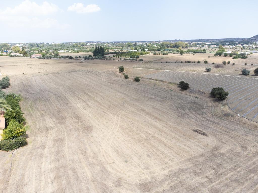 Fields - Ergates, Nicosia-Ergates