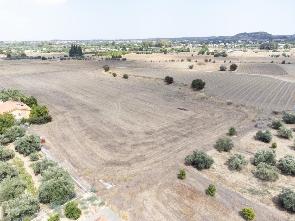 Fields - Ergates, Nicosia-Ergates