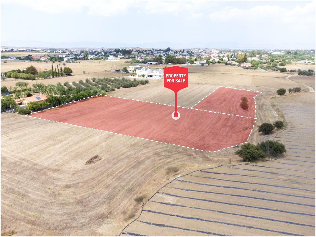 Fields - Ergates, Nicosia-Ergates