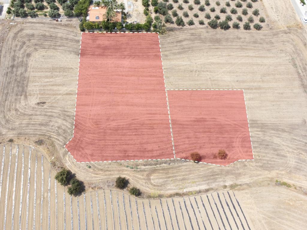 Fields - Ergates, Nicosia-Ergates