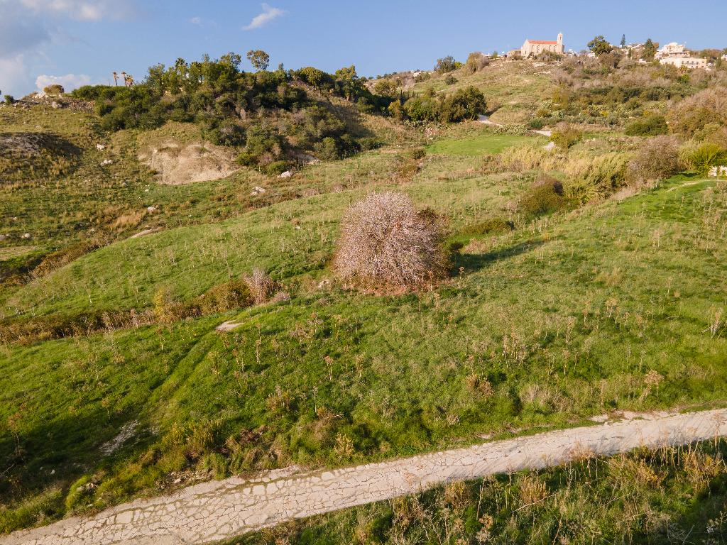 Field - Armou, Paphos-Armou