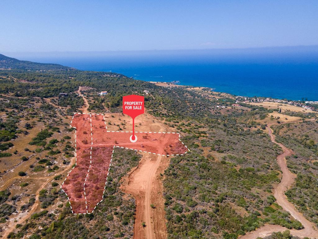 Χωράφι - Νέο Χωριό, Πάφος-Νέο Χωριό