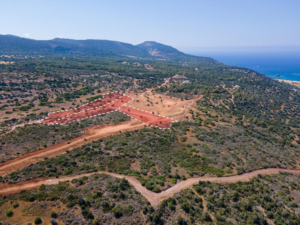 Χωράφι - Νέο Χωριό, Πάφος-Νέο Χωριό