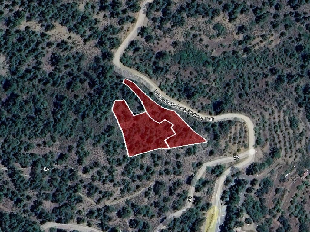 Field  - Platanistasa, Nicosia-Platanistasa