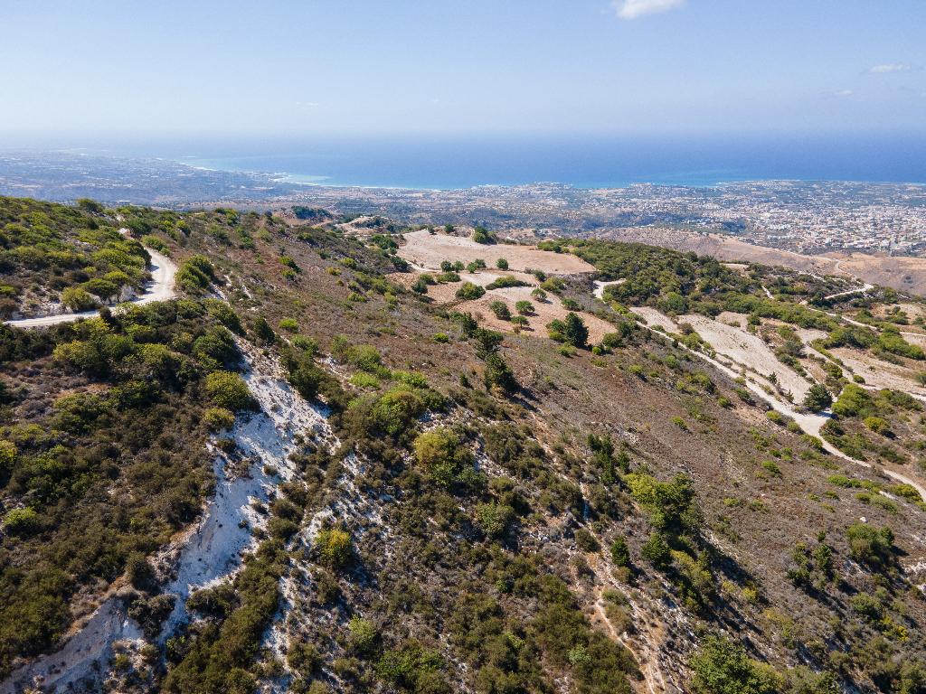 Field - Akoursos, Paphos