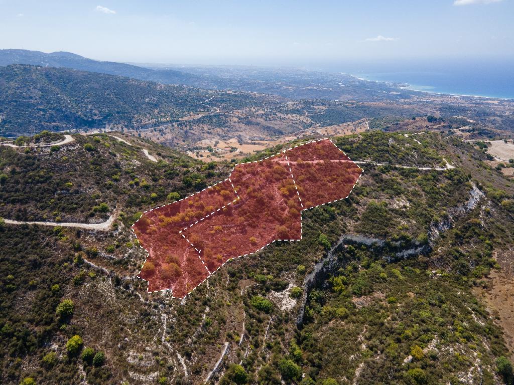 Field - Akoursos, Paphos