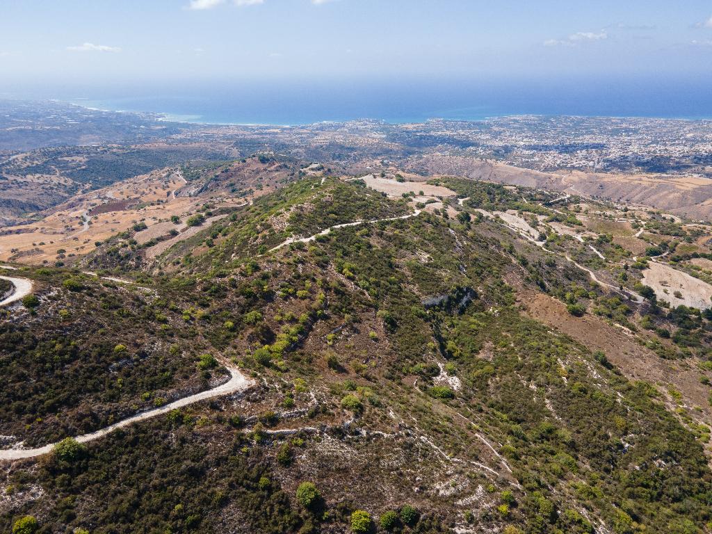 Field - Akoursos, Paphos