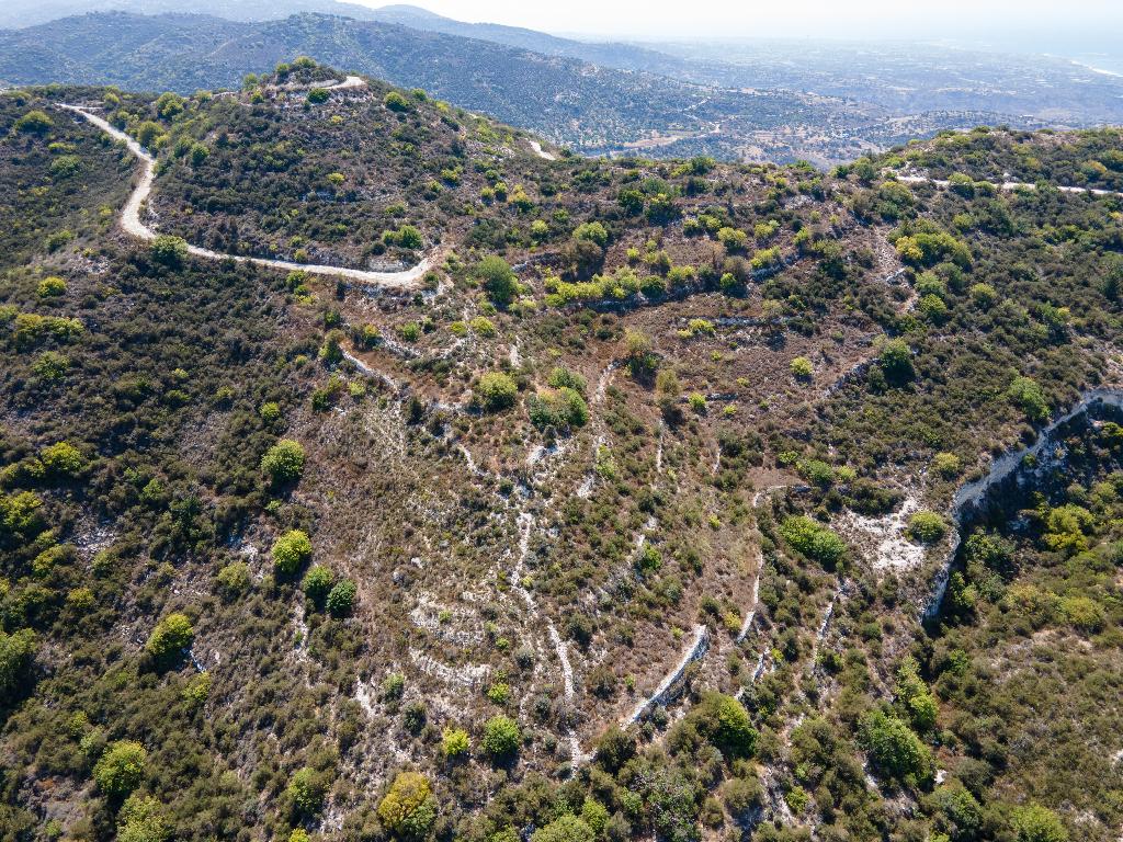 Field - Akoursos, Paphos