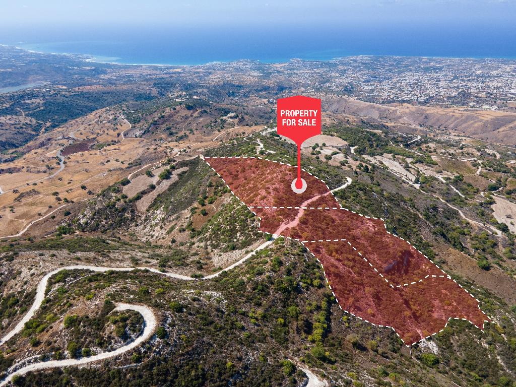 Field - Akoursos, Paphos