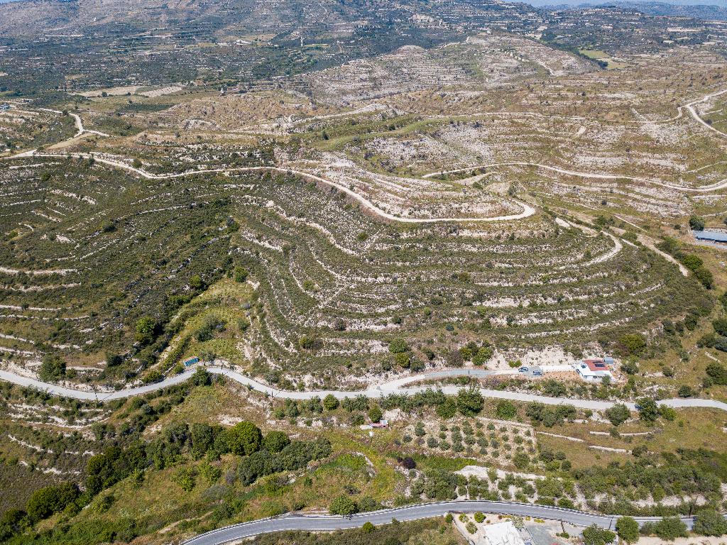 Fields– Agios Amvrosios, Limassol