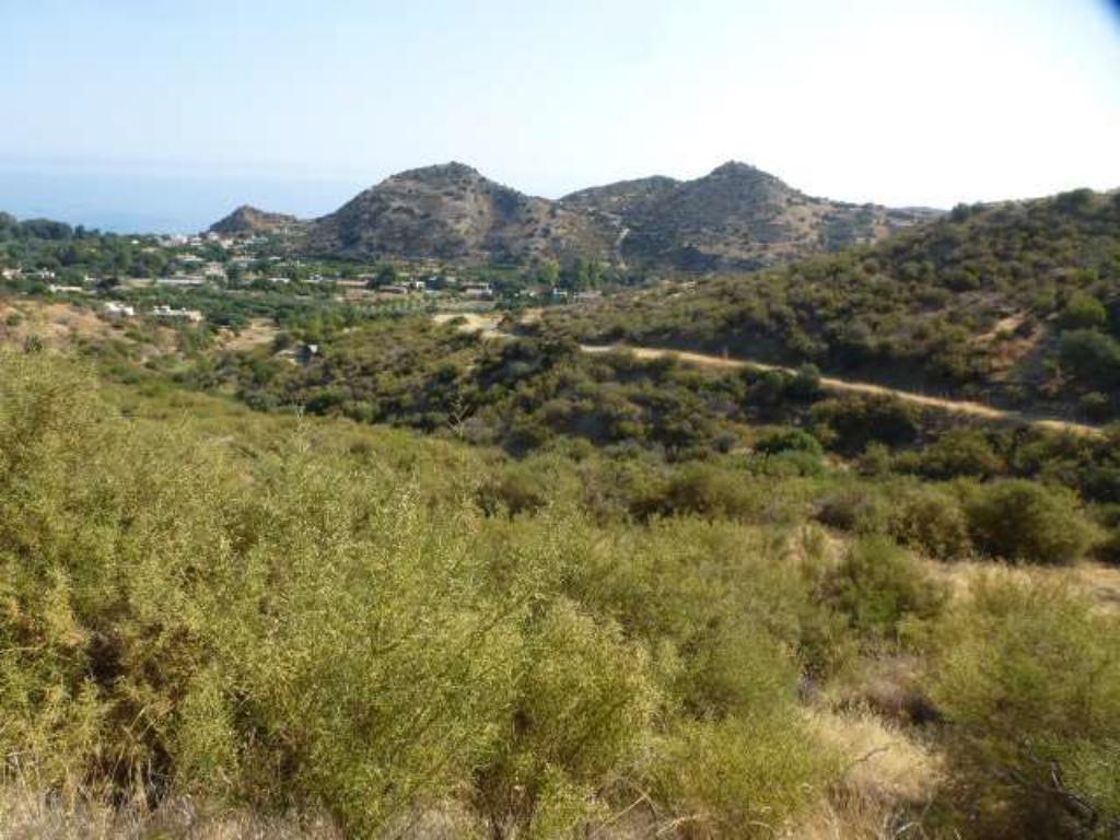 2 Fields - Kato Pyrgos, Nicosia-Kato Pyrgos
