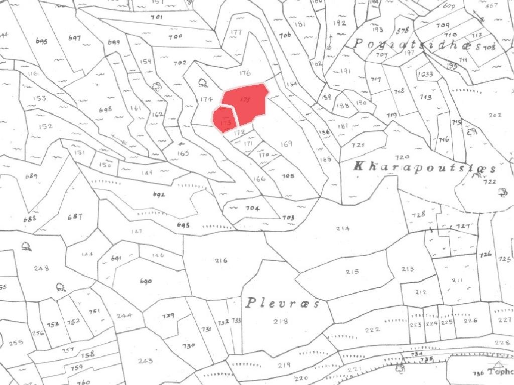Fields– Pachna, Limassol-Pachna