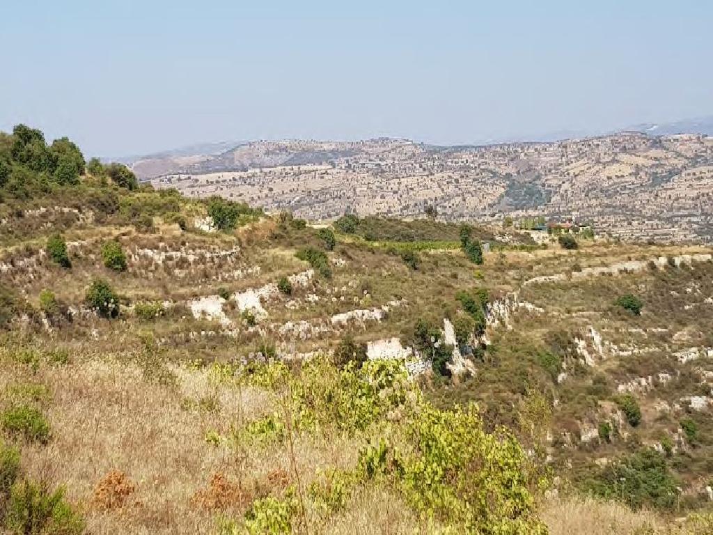 Fields– Pachna, Limassol-Pachna