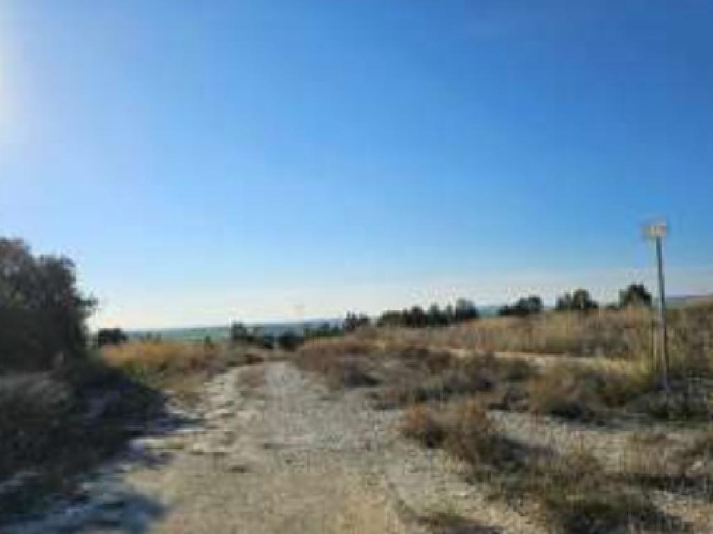Fields (Share)- Aradippou, Larnaca