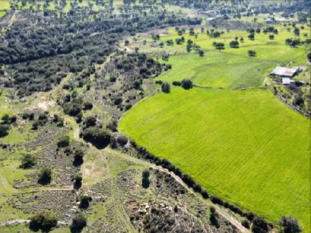 Fields (Share) - Anogira, Limassol-Anogira