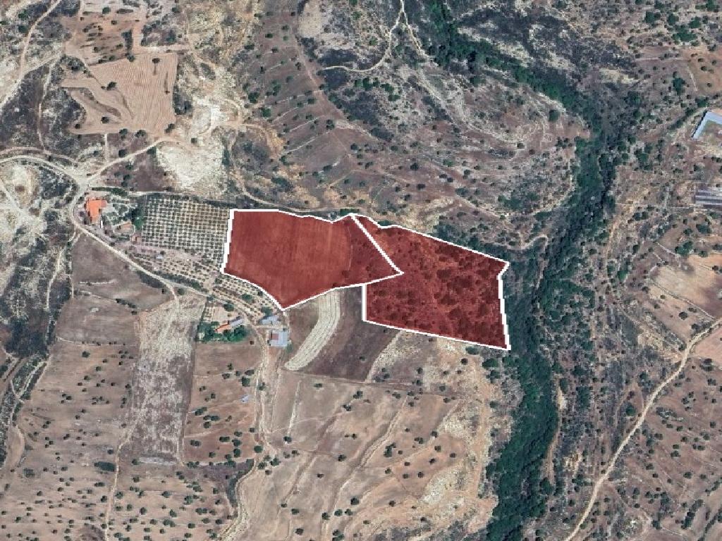 Fields (Share) - Anogira, Limassol-Anogira